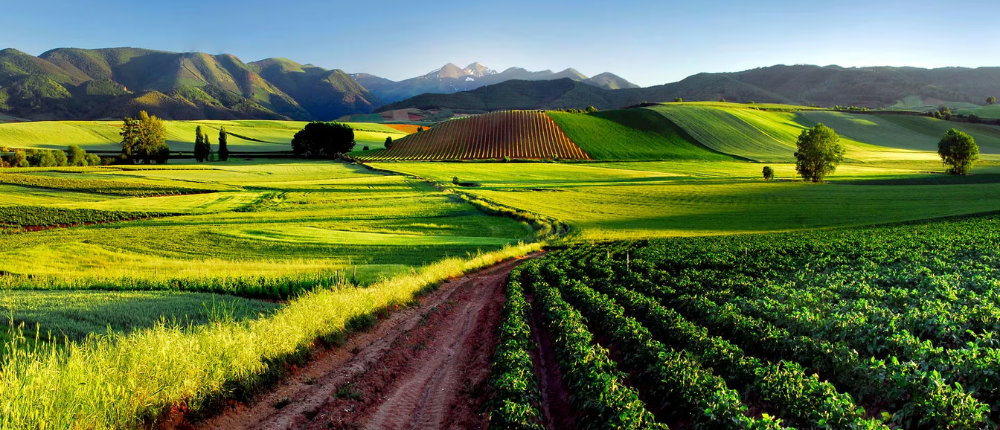 Cómo planear una escapada a La Rioja