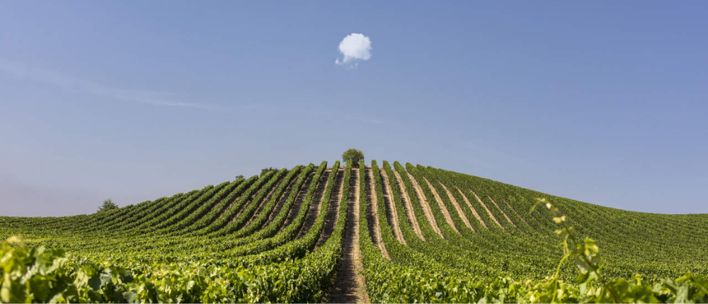 Cómo planear una escapada a La Rioja